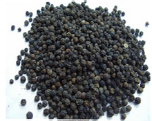 black current