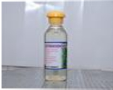 citriodora-oil125