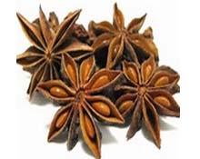 star annes